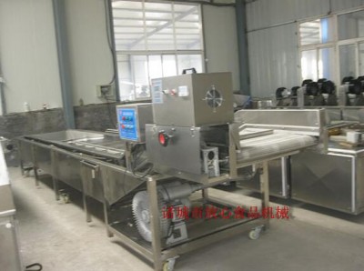 臭氧殺菌水果清洗機(jī)